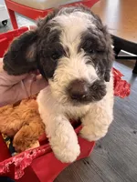 processed/6405735d-0e99-4ddb-abdf-cab1adbd6a63/listing/18c2c07d-16d9-4f11-a8d0-da8435c2ff3b/db43f544-7c92-4c63-9704-6606b88dbd66