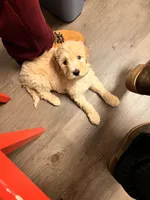 processed/6405735d-0e99-4ddb-abdf-cab1adbd6a63/listing/d55a2e87-6460-4adc-83c3-5f07413fc561/f2c25b12-d442-47a5-8ce1-814d905e894c