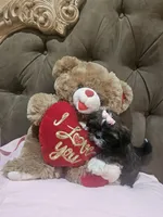 No name , a female Shih Tzu for sale in Adelanto, CA – 7 of 10
