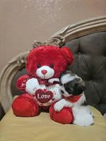 No name, a male Shih Tzu for sale in Adelanto, CA – Photo 7 of 10