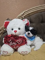No name, a male Shih Tzu for sale in Adelanto, CA – 9 of 10