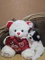 No name , a female Shih Tzu for sale in Adelanto, CA – 8 of 10