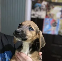 processed/6408c6fb-6514-40b5-83f4-7c4cc9897726/listing/1bc44222-2118-45ae-89cc-e3f3a9e2e8c2/8d5420e6-3608-4696-90fa-db673ce54673