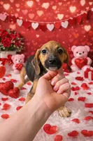 processed/6408c6fb-6514-40b5-83f4-7c4cc9897726/listing/1bc44222-2118-45ae-89cc-e3f3a9e2e8c2/9db5e5db-7fac-4f7b-bbb2-0f84b83832bd