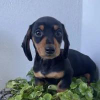 processed/640b8b29-7616-477e-b6a9-21759d5f0c4a/facility/2ca5e63d-ccaa-4566-a907-0f14fff192ae