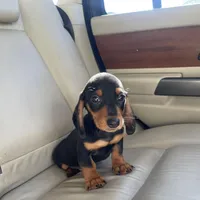 processed/640b8b29-7616-477e-b6a9-21759d5f0c4a/facility/afaff068-951d-4a6a-b331-1b25437fe24c