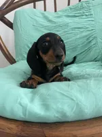 processed/640b8b29-7616-477e-b6a9-21759d5f0c4a/listing/62506135-4269-4ea6-8057-a67a6f5c282c/1b9e2129-6626-4e40-b0cc-d576c30e7c98