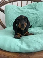 processed/640b8b29-7616-477e-b6a9-21759d5f0c4a/listing/62506135-4269-4ea6-8057-a67a6f5c282c/a00298e1-ad81-490c-a1c1-ccf69d718cde