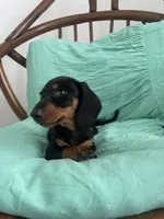 processed/640b8b29-7616-477e-b6a9-21759d5f0c4a/listing/62506135-4269-4ea6-8057-a67a6f5c282c/bd558614-18a2-46eb-8b3f-81b0e35764a3