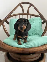 processed/640b8b29-7616-477e-b6a9-21759d5f0c4a/listing/62506135-4269-4ea6-8057-a67a6f5c282c/de406a0a-19a9-401f-923c-de297f5e8796