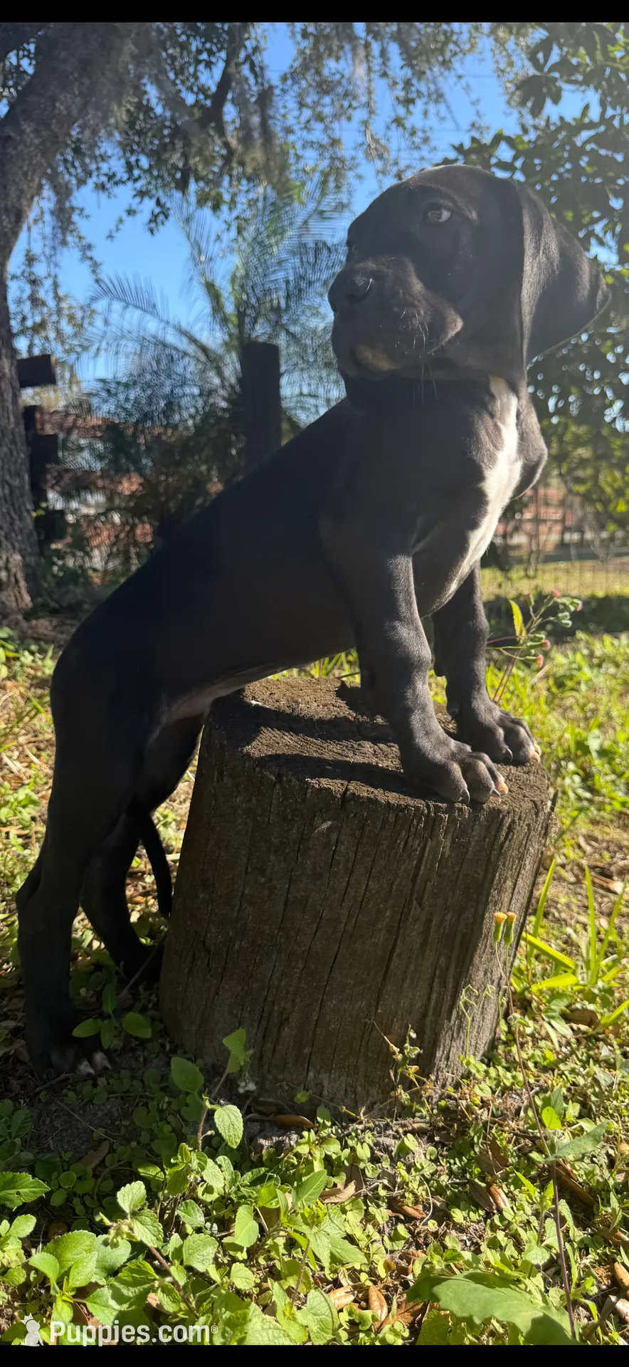 processed/6421c7fd-2824-4a41-88d1-1875ac783d9b/listing/27a1e935-2a16-4193-b09d-4b183655dcb4/b7e443c0-d27e-4914-81a9-5997ce700f5e