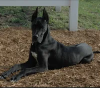 processed/6421c7fd-2824-4a41-88d1-1875ac783d9b/listing/88029db5-ffe9-4a3e-99be-9dfcf59ac980/c991c13e-93bd-4e7b-90bd-ad2de5bf6a2d