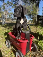 processed/6421c7fd-2824-4a41-88d1-1875ac783d9b/listing/986a6d17-ad96-4334-b771-e0bc0836a839/9697a185-9baf-442a-a026-2169b1b47279