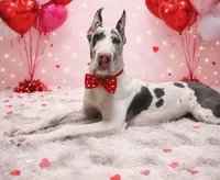 processed/6421c7fd-2824-4a41-88d1-1875ac783d9b/listing/986a6d17-ad96-4334-b771-e0bc0836a839/a99fdd2f-211d-4119-82f6-d07a7e27830c