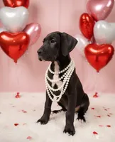 processed/6421c7fd-2824-4a41-88d1-1875ac783d9b/listing/986a6d17-ad96-4334-b771-e0bc0836a839/c1d5f7d3-bd6c-4da3-a0ca-3c09ddecd6ff