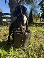 processed/6421c7fd-2824-4a41-88d1-1875ac783d9b/listing/986a6d17-ad96-4334-b771-e0bc0836a839/d4113e4a-4864-4e82-a98f-67072077c816