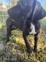 processed/6421c7fd-2824-4a41-88d1-1875ac783d9b/listing/986a6d17-ad96-4334-b771-e0bc0836a839/f486cc5a-d7e3-495b-a8f7-4d5edbb14601