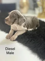 processed/6421c7fd-2824-4a41-88d1-1875ac783d9b/listing/d46be9ba-d3bf-4f65-92bb-3ebe0db89723/085630b7-2ea6-4ff9-85b7-2bc95a2a2af9