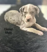 processed/6421c7fd-2824-4a41-88d1-1875ac783d9b/listing/d46be9ba-d3bf-4f65-92bb-3ebe0db89723/15065969-1973-4b48-a278-7895312b396b