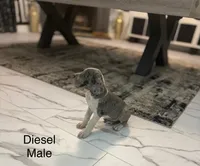 processed/6421c7fd-2824-4a41-88d1-1875ac783d9b/listing/d46be9ba-d3bf-4f65-92bb-3ebe0db89723/612ee965-692b-4449-9c04-e204542cbbb0