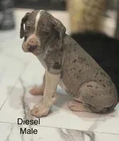 processed/6421c7fd-2824-4a41-88d1-1875ac783d9b/listing/d46be9ba-d3bf-4f65-92bb-3ebe0db89723/64ebfdc7-f18b-47a0-b7eb-40c34094ddb3