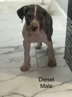 processed/6421c7fd-2824-4a41-88d1-1875ac783d9b/listing/d46be9ba-d3bf-4f65-92bb-3ebe0db89723/65a1971f-b037-4bf5-bf27-a8ca297af2eb