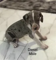 processed/6421c7fd-2824-4a41-88d1-1875ac783d9b/listing/d46be9ba-d3bf-4f65-92bb-3ebe0db89723/c4bde81d-5099-4d9f-a8ca-db15da8586c8