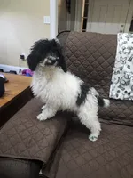 processed/642488eb-b396-41ef-abcc-181f10524a47/listing/105b32da-b444-45e1-a2cf-bc140bfc49d7/6bceabf9-ae6c-4c13-9f13-ba2bc6022bb8