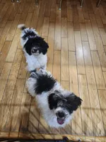 processed/642488eb-b396-41ef-abcc-181f10524a47/listing/105b32da-b444-45e1-a2cf-bc140bfc49d7/a1cd92d9-36cf-4b68-b40a-e073fb49fb24