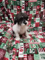 processed/642488eb-b396-41ef-abcc-181f10524a47/listing/4014a6a0-4fec-45d0-8612-a5647e4fe71e/a29e1b15-ca46-4111-9f6f-ed7cf43ccc9d