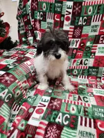 processed/642488eb-b396-41ef-abcc-181f10524a47/listing/4014a6a0-4fec-45d0-8612-a5647e4fe71e/f04fd9bb-20de-46f3-93e7-c24eb18c7958