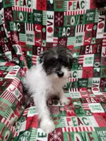 processed/642488eb-b396-41ef-abcc-181f10524a47/listing/bc086292-3c88-494a-9561-bf910080b0ba/f78dba7b-3bd1-4e13-ad94-681101fec82a