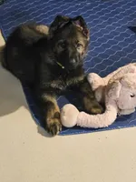 processed/642c5673-0c3f-4e8a-ba4a-081fc96b845f/facility/9d23d0e6-8c71-4505-9159-b807d3595564