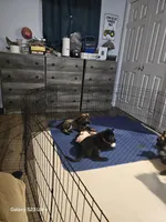 processed/642c5673-0c3f-4e8a-ba4a-081fc96b845f/facility/aceca500-4d10-427e-9e6f-e8622034d981