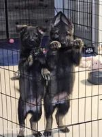 processed/642c5673-0c3f-4e8a-ba4a-081fc96b845f/facility/bbd54eb1-5c6d-4527-8195-b7846e35403d