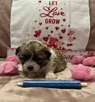 processed/64314943-5ec5-4ccf-9c87-76f9e4f97efc/listing/19bb68aa-4895-467a-abf4-6439e051b260/12c50991-0998-4e72-a323-3fc0b1f6ac8b