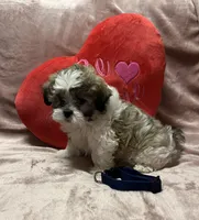 processed/64314943-5ec5-4ccf-9c87-76f9e4f97efc/listing/660db88c-0d8c-4503-8f66-e781c9cccd2f/4358d726-d78a-4c62-8867-09a62f5ee235