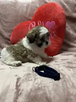 processed/64314943-5ec5-4ccf-9c87-76f9e4f97efc/listing/660db88c-0d8c-4503-8f66-e781c9cccd2f/d6d05bb0-b724-4084-a9cf-f91c2d5c3840