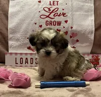 processed/64314943-5ec5-4ccf-9c87-76f9e4f97efc/listing/660db88c-0d8c-4503-8f66-e781c9cccd2f/d825d473-140b-4f4c-9696-f3302f36e6b0