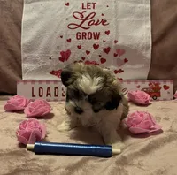 processed/64314943-5ec5-4ccf-9c87-76f9e4f97efc/listing/660db88c-0d8c-4503-8f66-e781c9cccd2f/dcc1c6d6-48cd-4488-aab0-017a1e5cf9ec