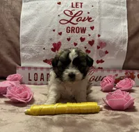 processed/64314943-5ec5-4ccf-9c87-76f9e4f97efc/listing/97f25017-071d-40fc-89e8-3dca7ae0c893/6119b553-836b-49c9-9df6-8dce074cd3a9