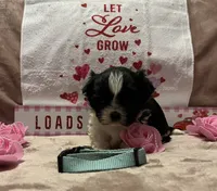 processed/64314943-5ec5-4ccf-9c87-76f9e4f97efc/listing/9e2a702f-5fdc-4922-86bf-7d5c1c377471/a4121674-4b43-4739-8407-273ce7090f97