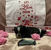 processed/64314943-5ec5-4ccf-9c87-76f9e4f97efc/listing/9e2a702f-5fdc-4922-86bf-7d5c1c377471/e36a05eb-0527-4da1-89b4-8035a6b64f2b