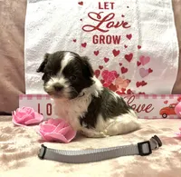 processed/64314943-5ec5-4ccf-9c87-76f9e4f97efc/listing/aead896e-d468-4d01-8f67-9532a1c887d4/36dc16f3-a3cd-4f81-a048-b7a76422499d