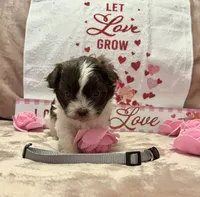 processed/64314943-5ec5-4ccf-9c87-76f9e4f97efc/listing/aead896e-d468-4d01-8f67-9532a1c887d4/affbe811-f210-4da7-977f-5057c6a9fa93