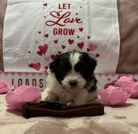 processed/64314943-5ec5-4ccf-9c87-76f9e4f97efc/listing/c637a266-874e-4f55-9ccb-3ad0c92c7987/10cfc745-0df2-42ef-b512-c7b2ee39cec8