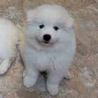 processed/6439e02b-e536-434b-b014-19834337127d/facility/120a5a64-fc7f-452f-8c4e-b01686d729c7