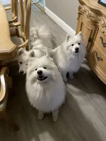 processed/6439e02b-e536-434b-b014-19834337127d/facility/fb7f6a6e-3d59-40a7-8b9d-2fbc6c7436a6