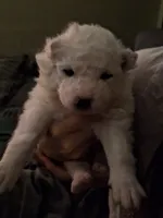 processed/6439e02b-e536-434b-b014-19834337127d/listing/56454e67-5b00-4eaa-a183-343ffec93f8d/26409331-dfe8-4af4-806c-937011669d51