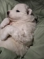 processed/6439e02b-e536-434b-b014-19834337127d/listing/56454e67-5b00-4eaa-a183-343ffec93f8d/31fe494f-9191-42f0-b1ef-77f985881f3e